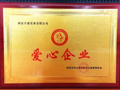 西安市華山青年創(chuàng)意公益慈善協(xié)會(huì)授予西安天幕實(shí)業(yè)有限公司“愛(ài)心企業(yè)”